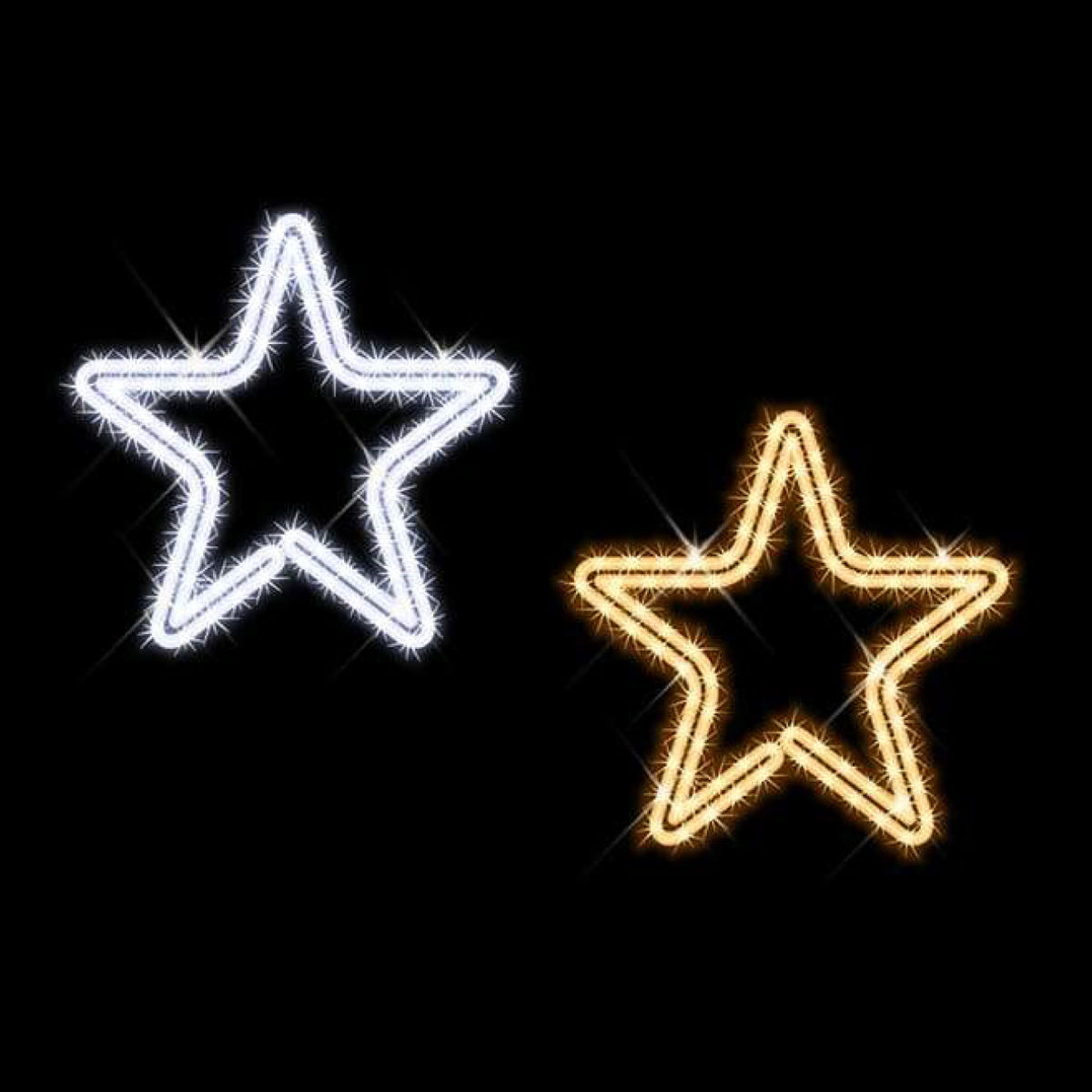 2D Motif